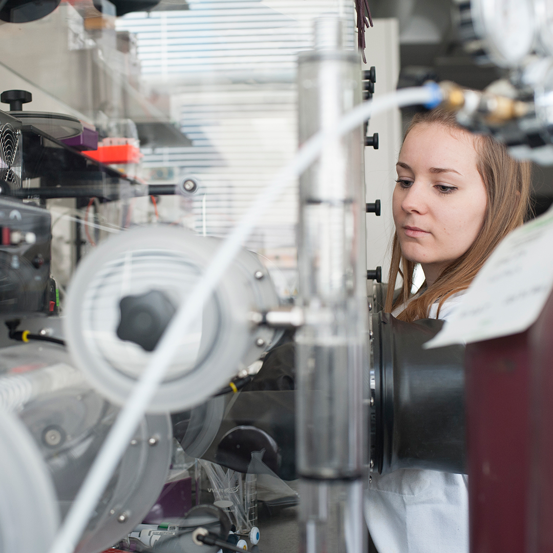 Green Chemistry Undergraduate Student