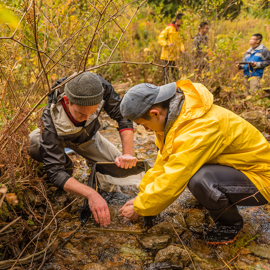 Sustainability Students in the field