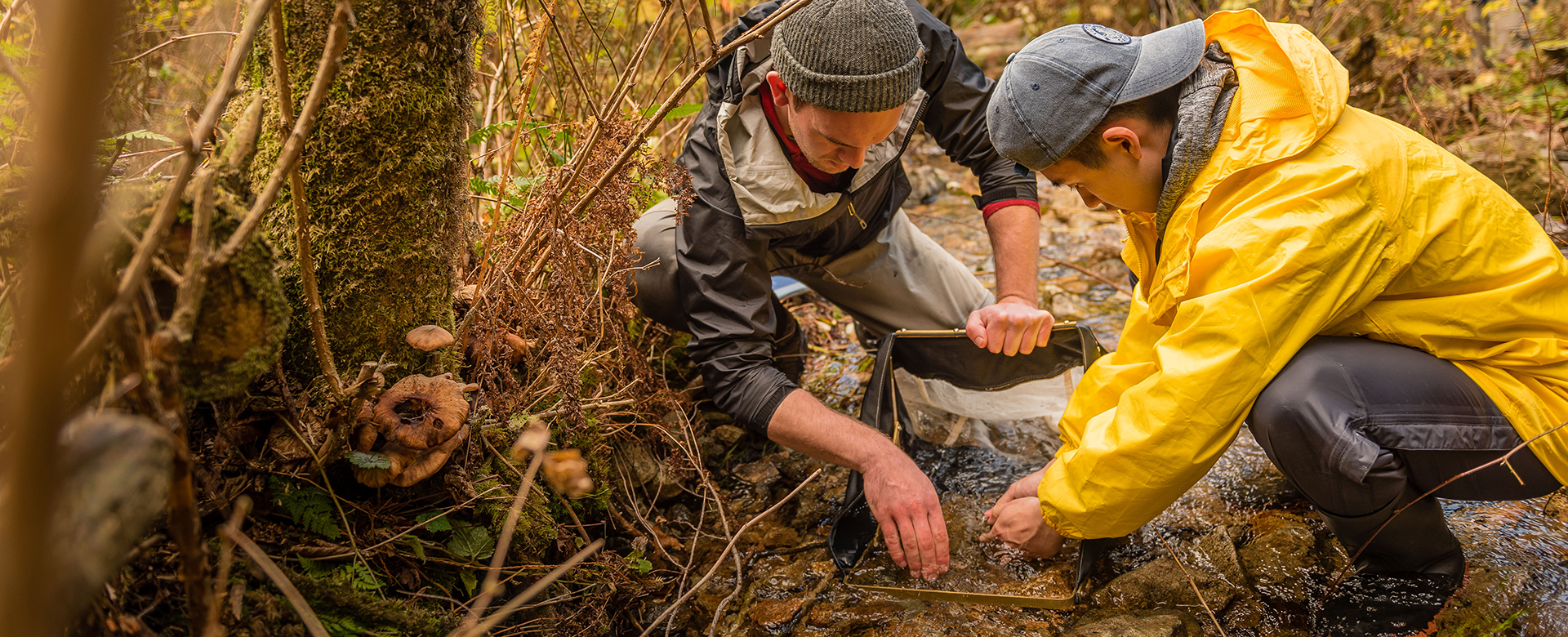 Sustainability Students in the field